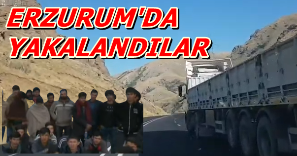 Erzurum’da  Muş plakalı araçta 41 kaçak göçmen yakalandı