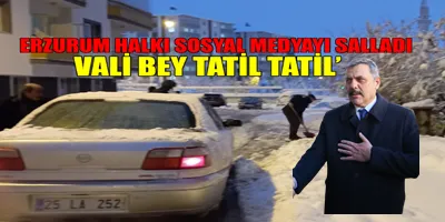 Erzurum Halkı sosyal medyayı salladı Vali bey tatil tatil! 