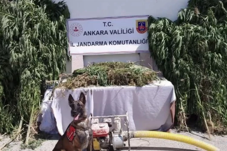 Erzurum ile birlikte 12 ilde Narkoçelik