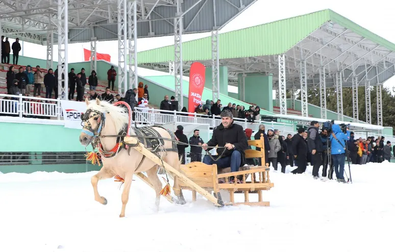 Atlı kızak yarışmasında heyecanlı anlar yaşandı