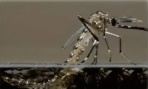 DSÖ’den Yeni Virüs Uyarısı