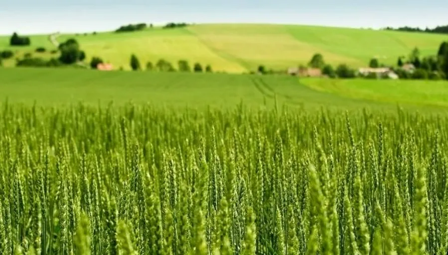 Tarım-ÜFE Yıllık %45,40 Arttı: Market Etiketlerinde Yeni Zam Dalgası Kapıda