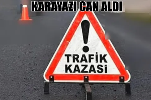 kamyonetin çarptığı yaya hayatını kaybetti